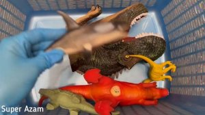 Динозавры 🦕 Dinosaur 🦖T-Rex Тирекс велоцираптор карнатавр теризинозавр 🦎 моя коллекция дино