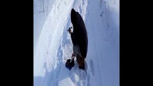 СТАРАЯ ДЕРЕВЯННАЯ ЦЕРКОВЬ