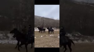 ПРОГУЛКА НА ЛОШАДЯХ КАРАЧАЕВСКОЙ ПОРОДЫ #лошади #карачаевцы #балкарцы #кчр #мир #красота #грация