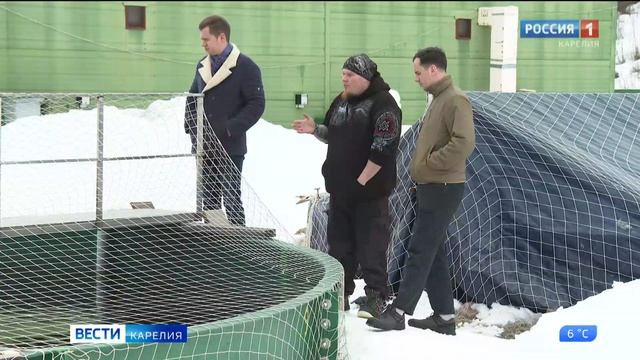 Решение  проблемы нехватки кормов для форелевых хозяйств Карелии