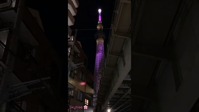 Самая высокая телебашня в мире. #skytree Небесное дерево.