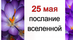 ПОСЛАНИЕ ВСЕЛЕННОЙ на 25 мая.