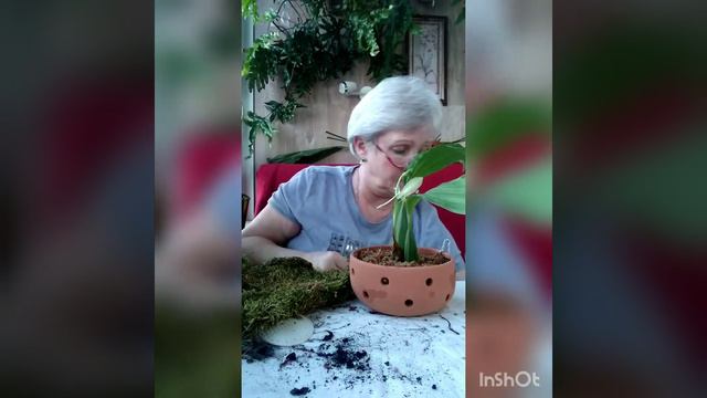 Заметки практика. Приехали новички, посадка. смотреть онлайн