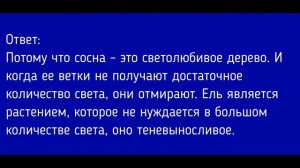 Биология 6 класс. §23 Отдел Голосеменные. Общая характеристика и значение.