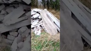Куда выкидывать стекло и пластик в селе.