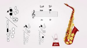 Digitaciones de Saxofón |  Saxo Alto o Barítono  ( Como tocar Saxo ) ▶️ Escala Cromática