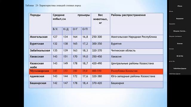 Классификация пород лошадей смотреть онлайн