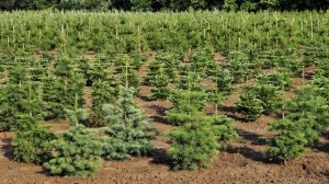 Окружающий мир 4 класс ч.1, тема урока "Как сберечь природу России", с.110-113, Перспектива.