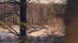 Зимняя прогулка по лесу в интересном формате.Красивая природа республики Коми.
