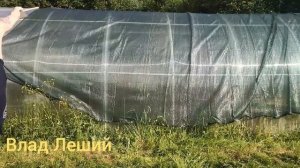Чудо сетка для теплицы.