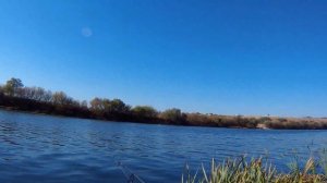 Спиннинг DAYO Black Dragon набирает обороты | Рыбалка на Дону в Шилово