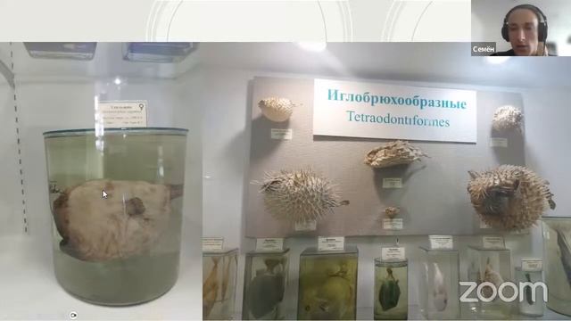 Урок географии из зоологического музея