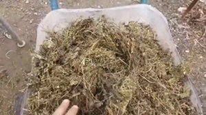 Сенорезка ручная.Простой и надёжный способ резки травы-сена,клевера.