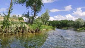 Прогулка на моторной лодке по низовьям Днепра