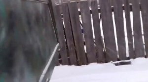 Самодельный вездеход