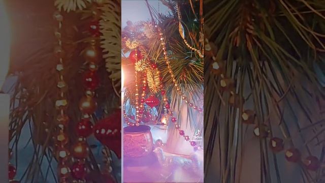 26 декабря. утро после Рождества #portwilliam #lovescotland #светланаахалая смотреть онлайн