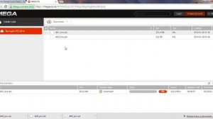 Como Baixar e Instalar narraçao e traduçao pes 2014