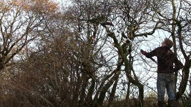 Worx WG349E 20V Cordless Pole Saw Pruner Review смотреть онлайн