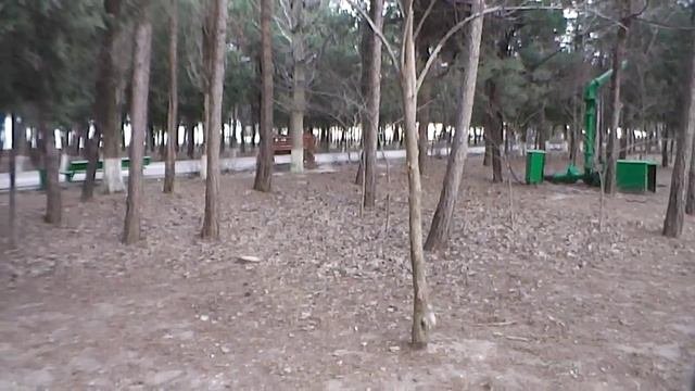 Белка в парке.Каспийск