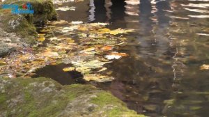 Травертиновое урочище. Осень в Русском лесу. Ставрополь