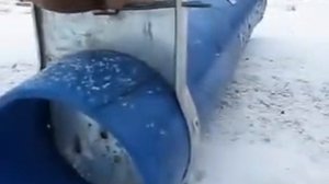 как поймать крысу.