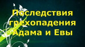 Последствия грехопадения Адама и Евы  Основы православия Дорога к храму