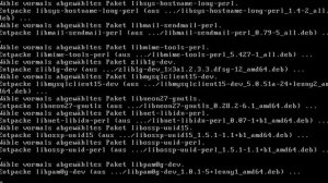 Pure-ftpd: Auf einem Vserver kompilieren (Debian)