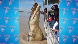 Это Самый Опасный Крокодил за Всю Историю