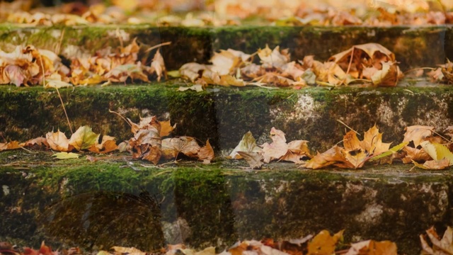 ОСЕННЕЕ  НАСТРОЕНИЕ. смотреть онлайн