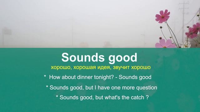 ТОП-20 актуальных английских выражений для свободного общения на английском смотреть онлайн