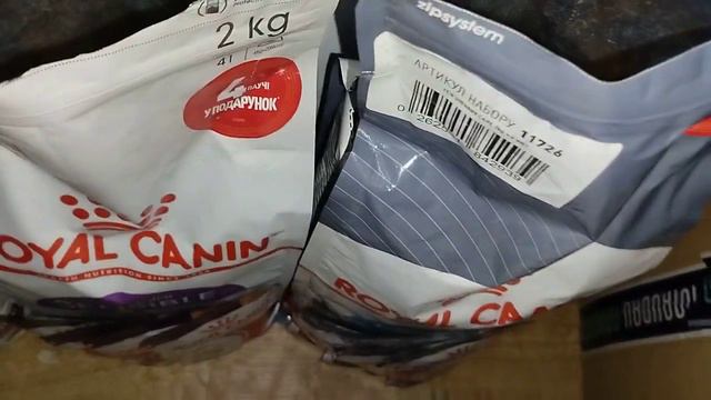 Мурчащий вечер /распаковка с пушистыми 😻 смотреть онлайн