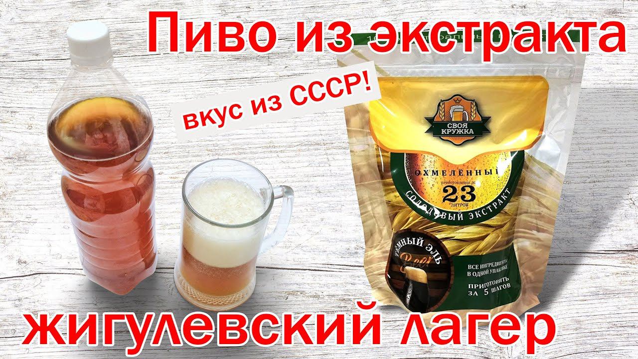 Жигулевское пиво из экстракта! Лагер! Рецепт проще простого!!!! от канала свой среди своих кулинария