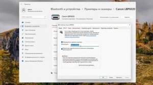 Как открыть доступ к принтеру в локальной сети Windows 11.Как печатать на принтере в сети