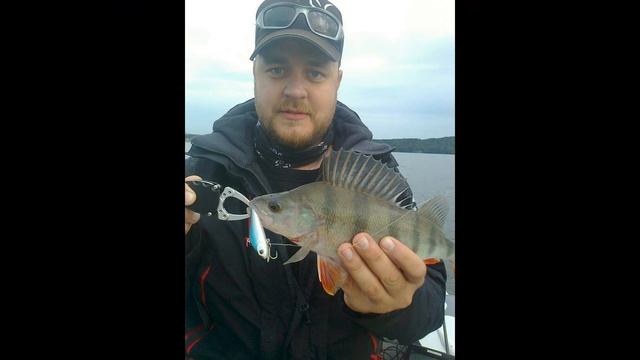 фото вайбер смотреть онлайн