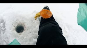 Ловля плотвы. Зимняя рыбалка со льда. Ловля на мотыля.