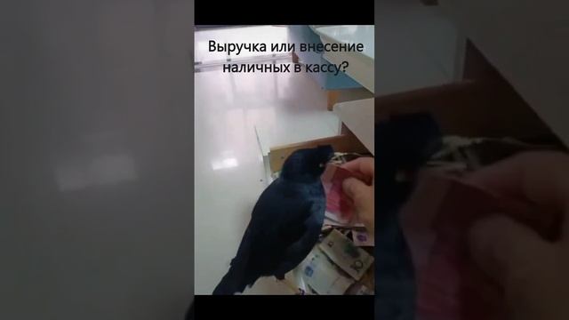 Выручка или внесение наличных в кассу