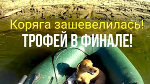 Это не коряга! Она двигается! Трофейная щука в финале!