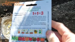 Совместные посевы овощей