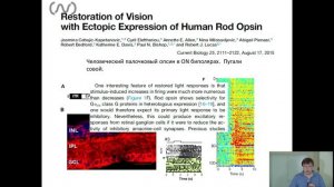 Оптогенетическое протезирование дегенеративной сетчатки: проблемы и перспективы