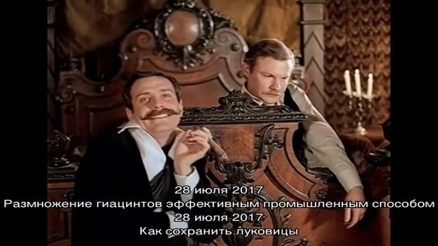 Почему не цветут наши любимые гиацинты в саду? смотреть онлайн