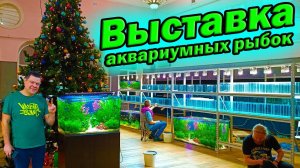 Выставка аквариумных рыбок 2023 Торопитесь! Скоро открытие!