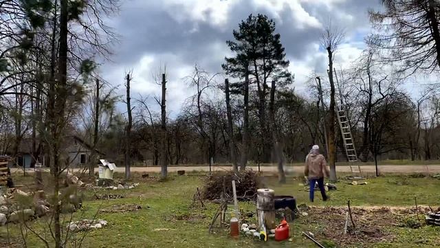 Обрезка деревьев смотреть онлайн