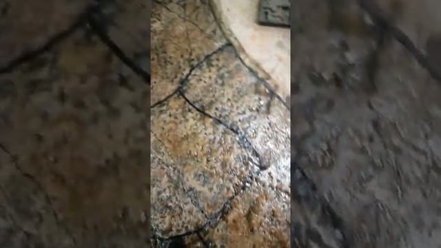 интересное решение отделки, скалы в доме (элемент из природы КАНЬОН АНТИЛОП) VID 20201112 155313 смотреть онлайн