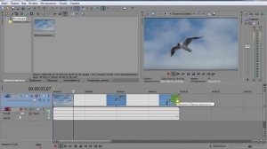 Как в Сони Vegas Pro повернуть видео в обратную сторону