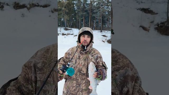 ГОЛАВЛЬ НА БАЛАНСИР!