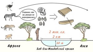 Как древние люди вышли из Африки