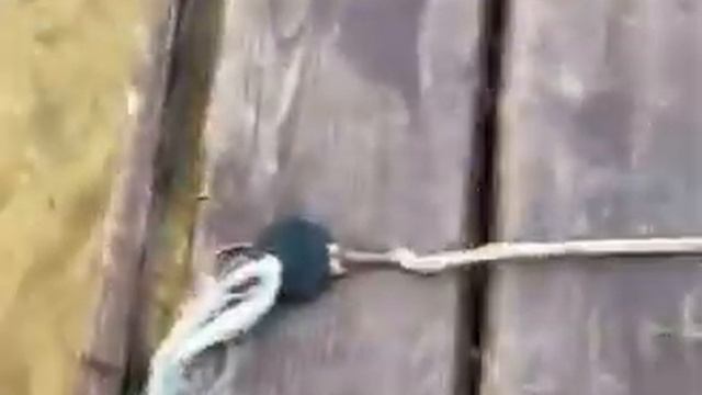 Универсальный ключ "Палочка" для домофонов Страж смотреть онлайн