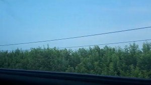 Путь до Пятигорска #1.