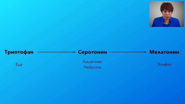 Его величество сон , циркадные ритмы