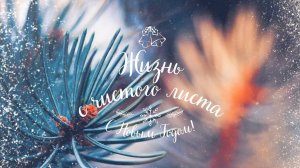 Новый год: жизнь с чистого листа